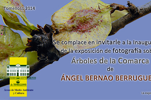 Exposición de fotografía "Árboles de la Comarca"